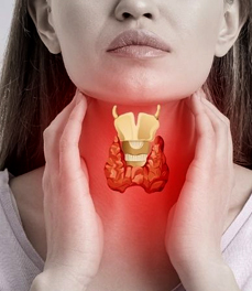 Thyroid & Parathyroid Disorders