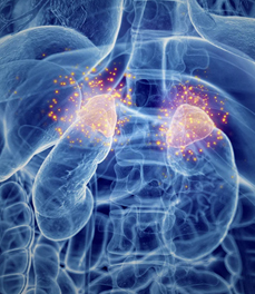 Adrenal & Pituitary Disorders